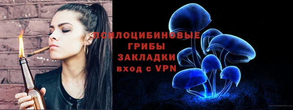 МДПВ Карталы