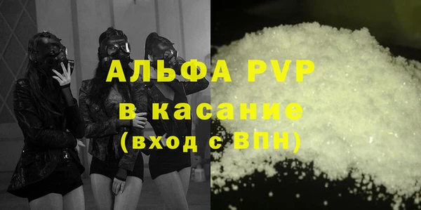 spice Аркадак