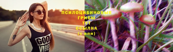 spice Аркадак