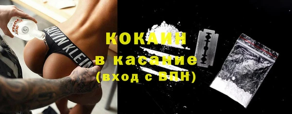 spice Аркадак