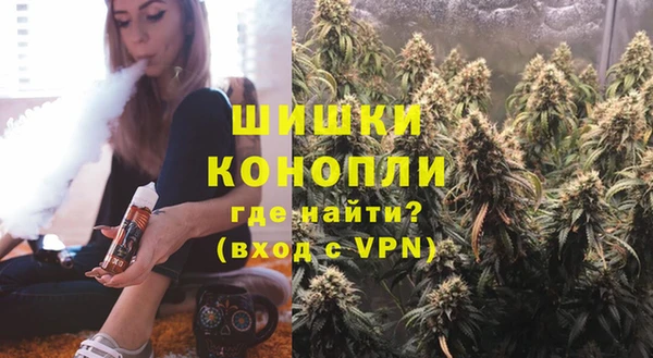 шишки Карпинск