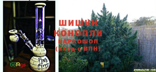 ГАЛЛЮЦИНОГЕННЫЕ ГРИБЫ Арсеньев