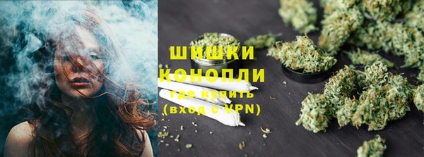 spice Аркадак