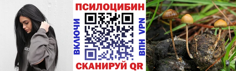 цены Белая Холуница Галлюциногенные грибы MAGIC MUSHROOMS